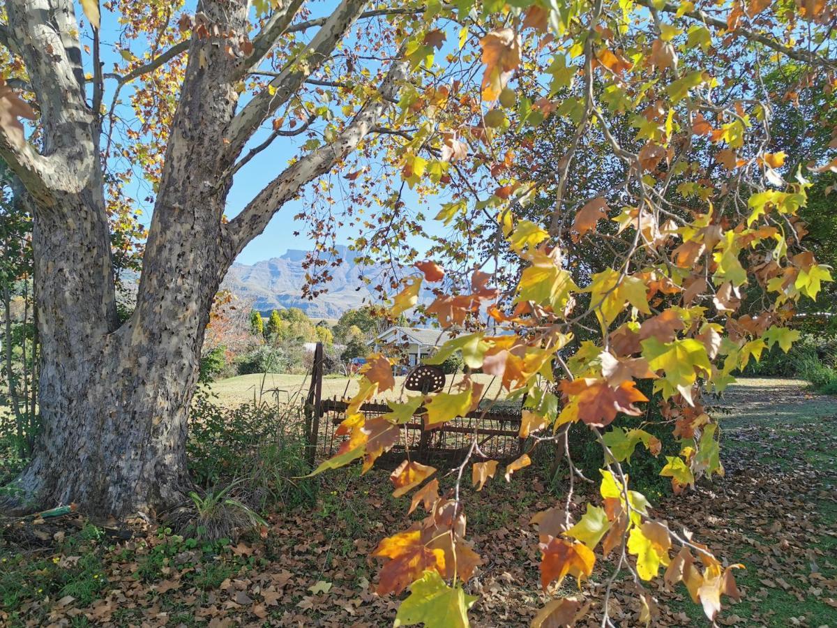 Swallowfield Rondavels Champagne Valley Bagian luar foto
