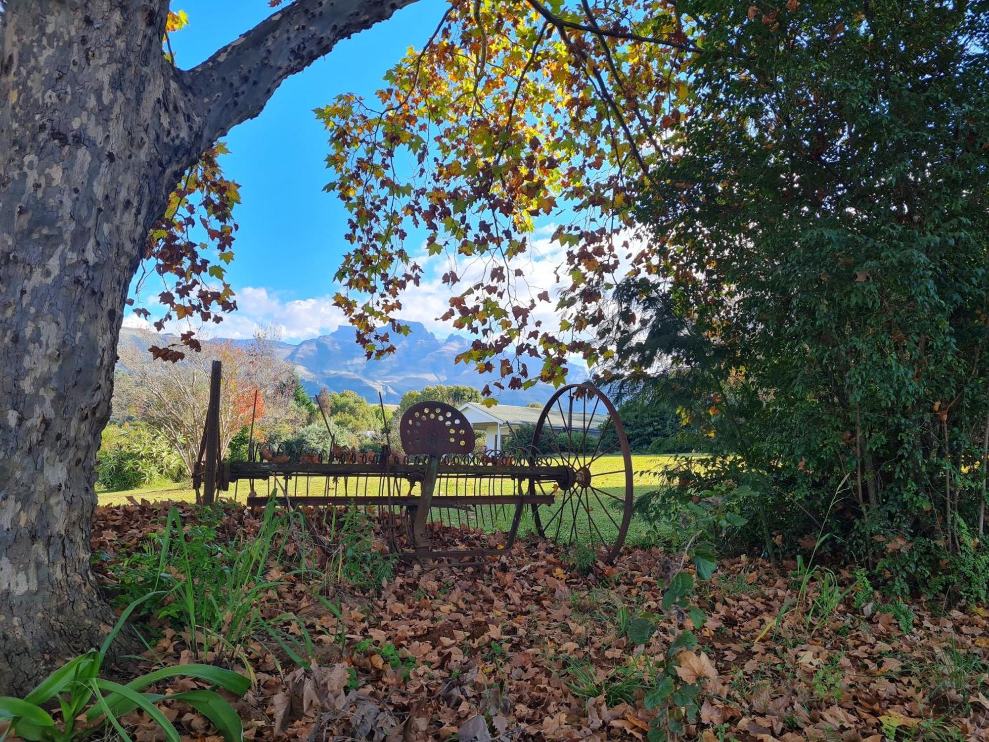 Swallowfield Rondavels Champagne Valley Bagian luar foto